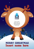 Photo reindeer